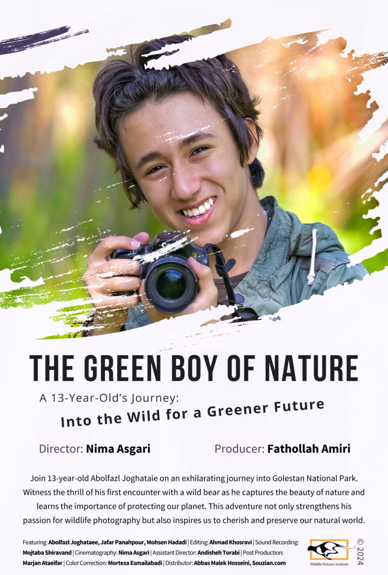 Poster of The Green boy of Nature movie